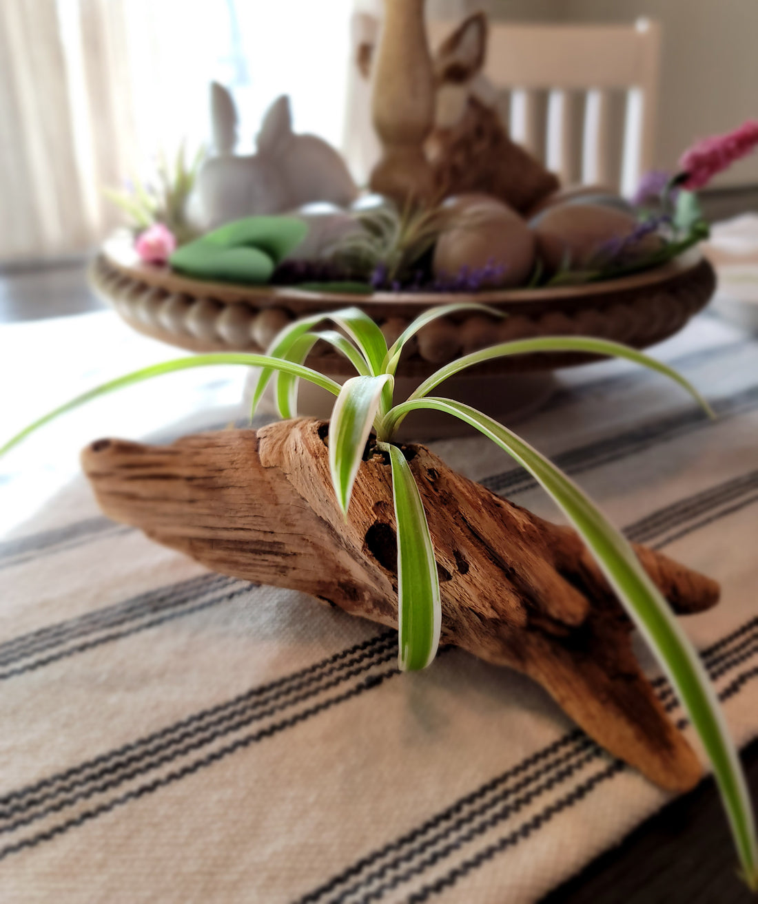 Handmade Miniature Driftwood Style Living Planter