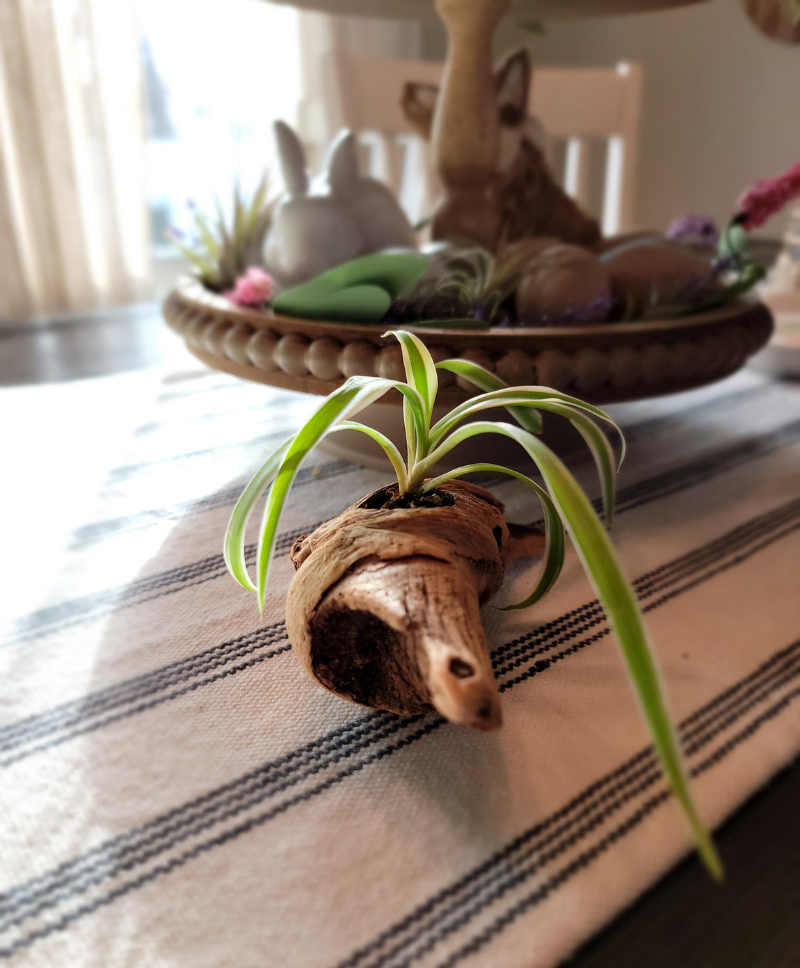 Handmade Miniature Driftwood Style Living Planter