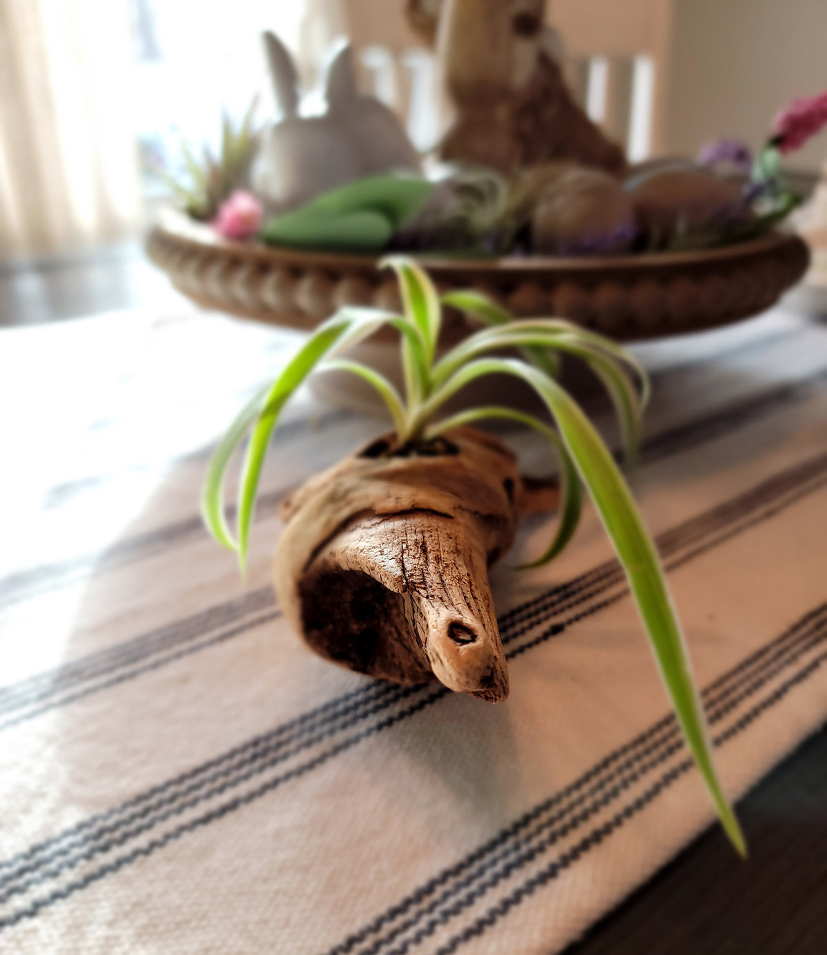 Handmade Miniature Driftwood Style Living Planter