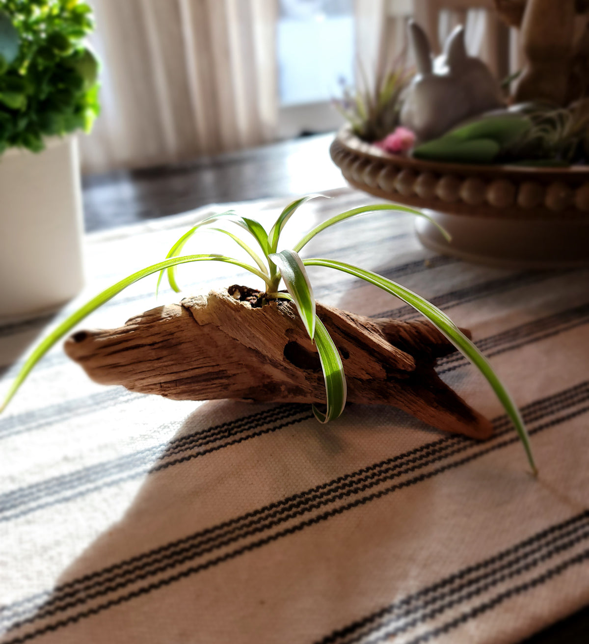 Handmade Miniature Driftwood Style Living Planter