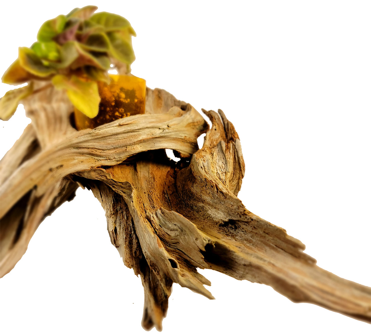 Handmade Long Driftwood Style Living Planter