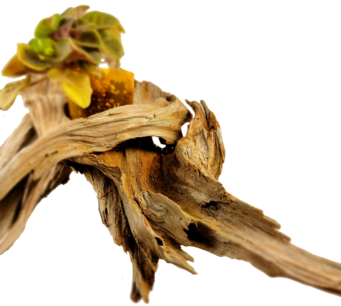Handmade Long Driftwood Style Living Planter