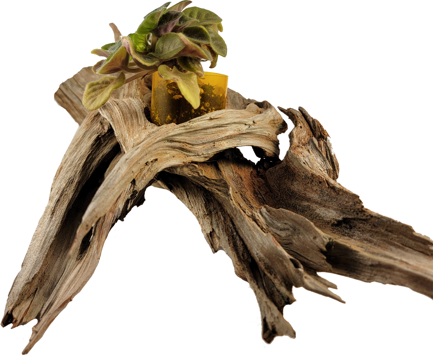 Handmade Long Driftwood Style Living Planter