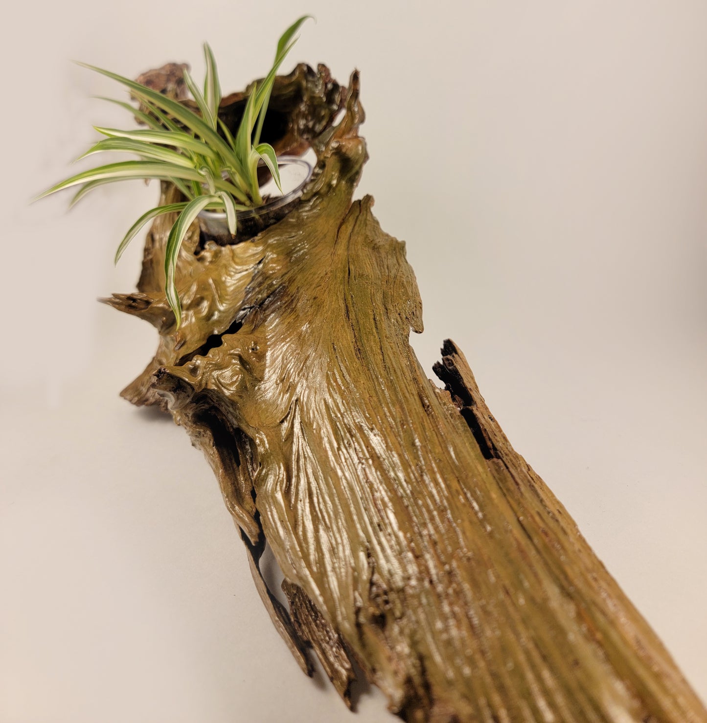 Handmade Driftwood Style Living Planter - Glossy Finish