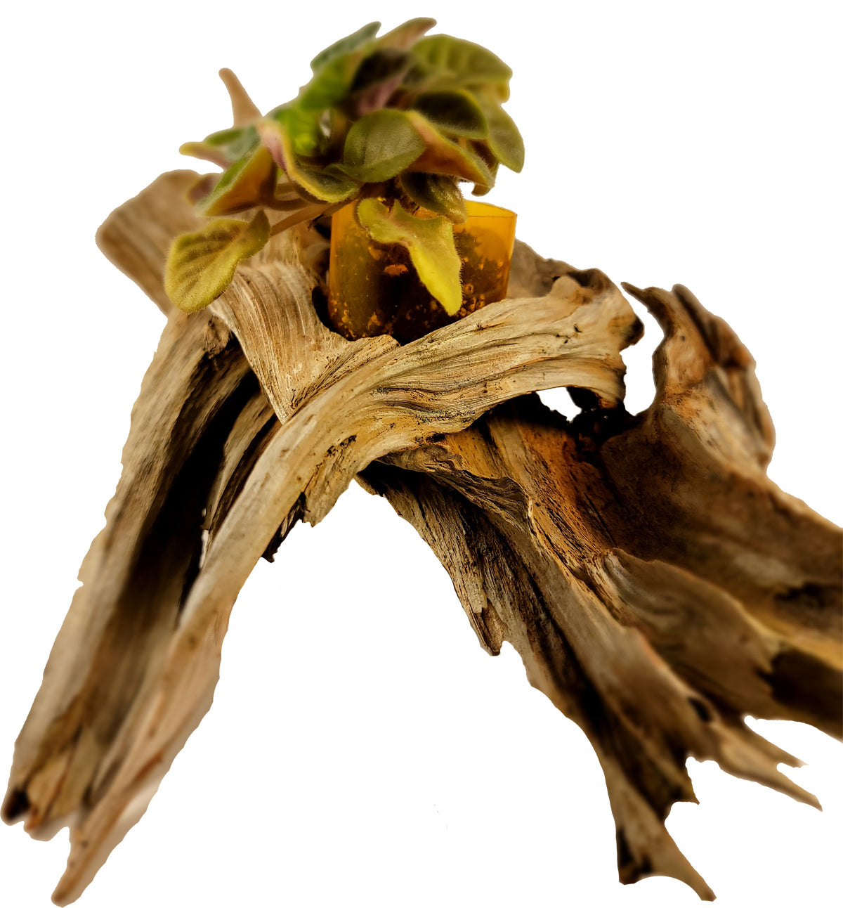 Handmade Long Driftwood Style Living Planter