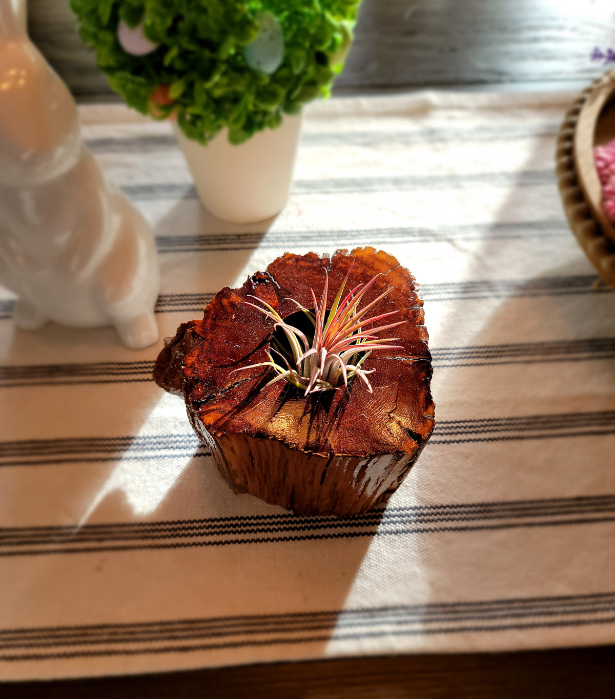 Handmade Cedar Living Wood Planter