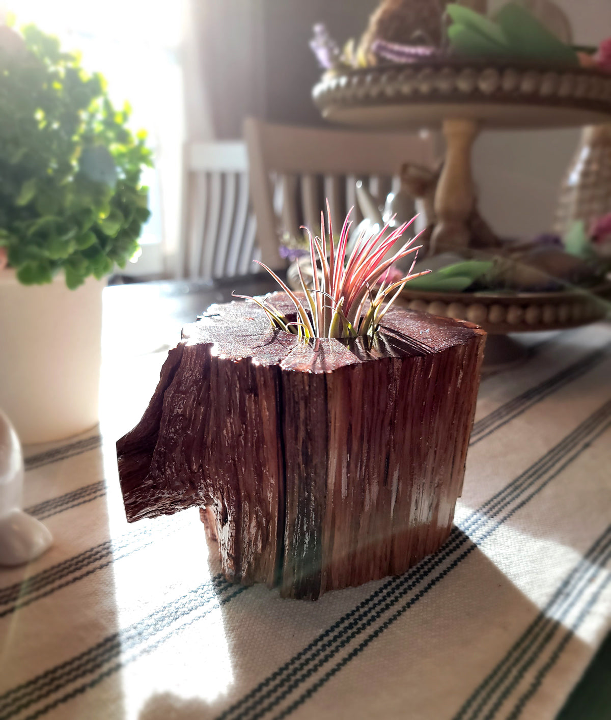 Handmade Cedar Living Wood Planter