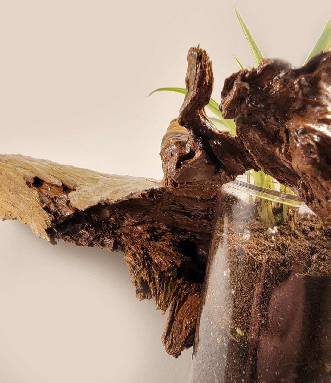 Handmade Driftwood Style Living Planter - Glossy Finish