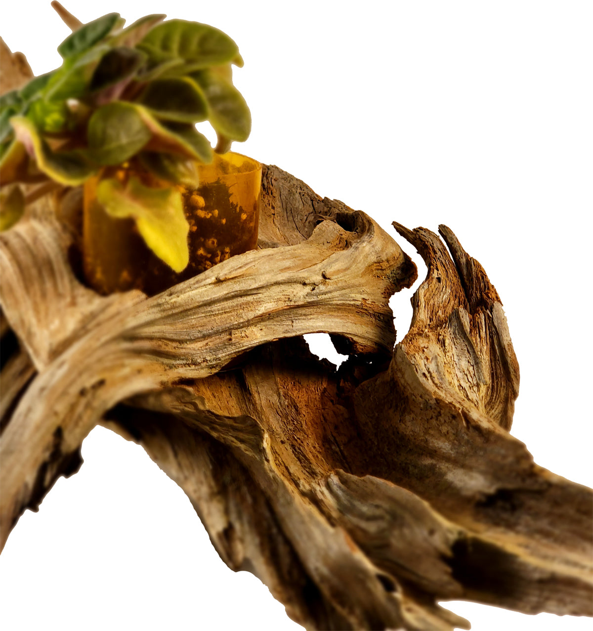 Handmade Long Driftwood Style Living Planter
