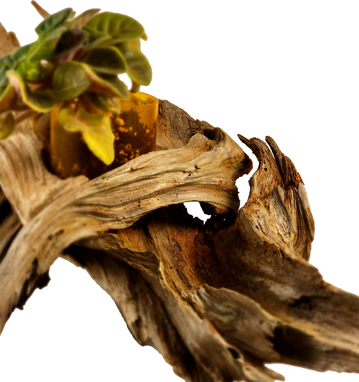 Handmade Long Driftwood Style Living Planter