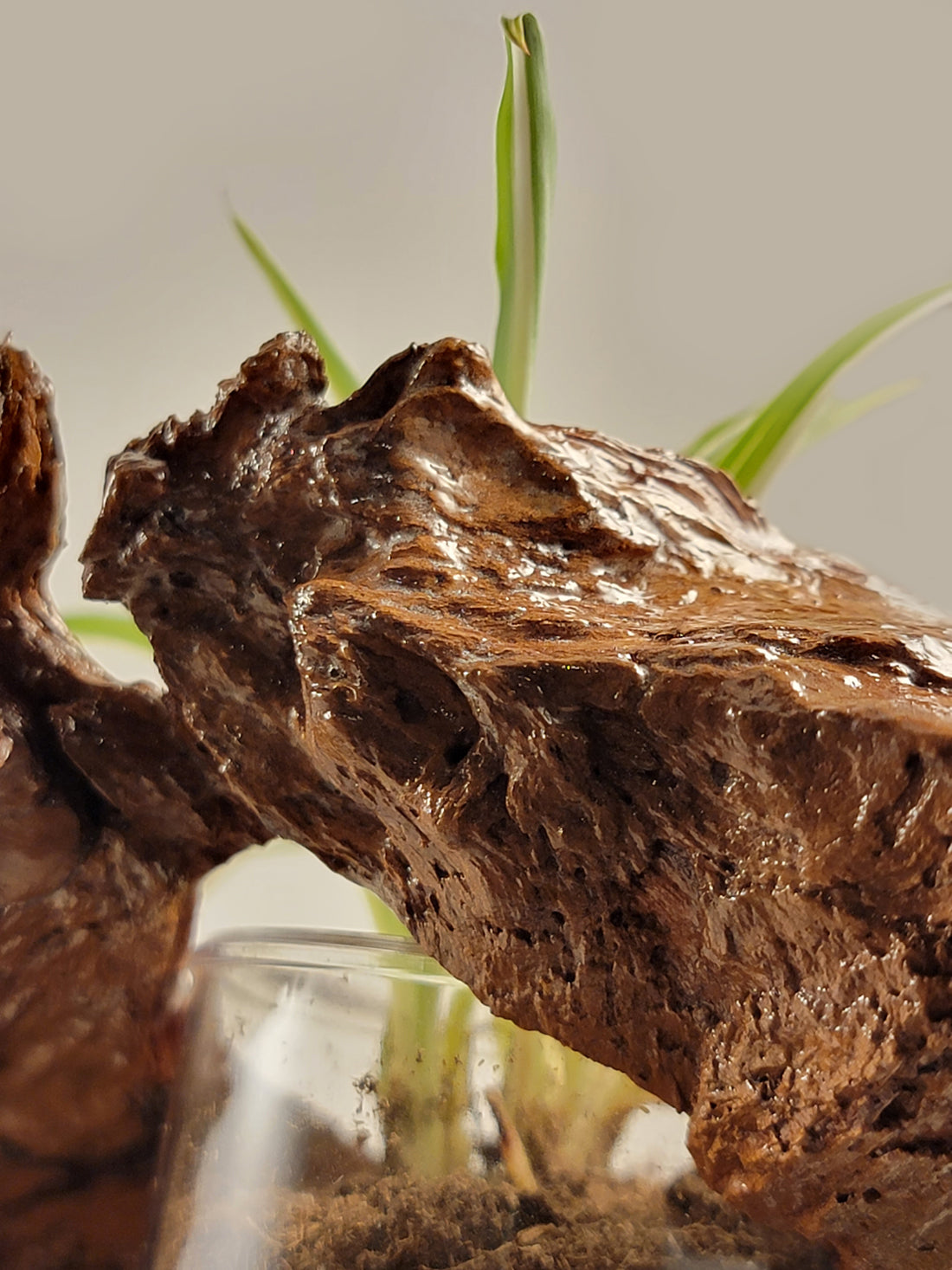 Handmade Driftwood Style Living Planter - Glossy Finish
