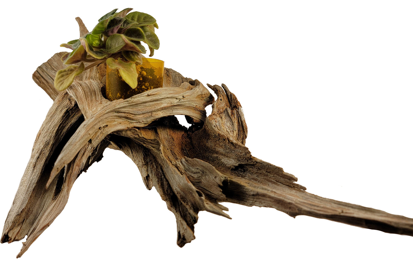 Handmade Long Driftwood Style Living Planter