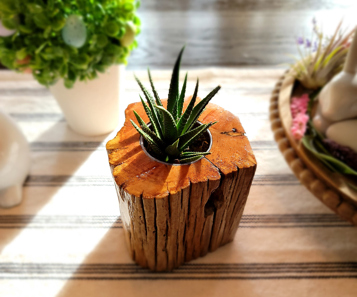 Handmade Cedar Living Wood Knot Planter