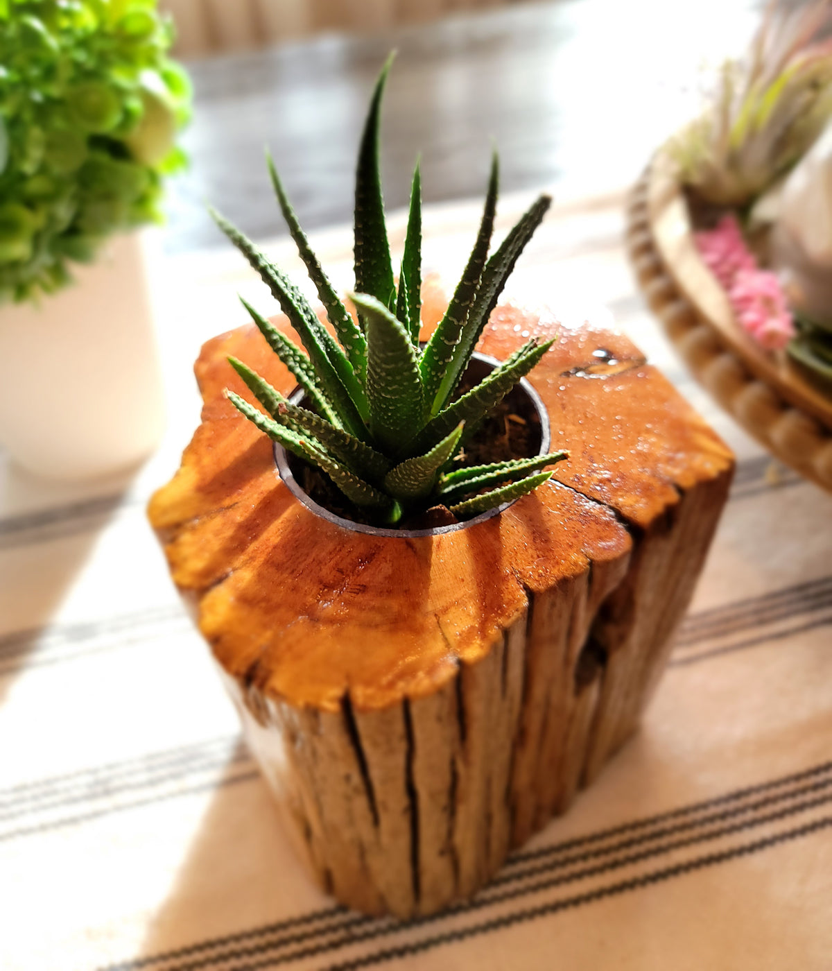 Handmade Cedar Living Wood Knot Planter