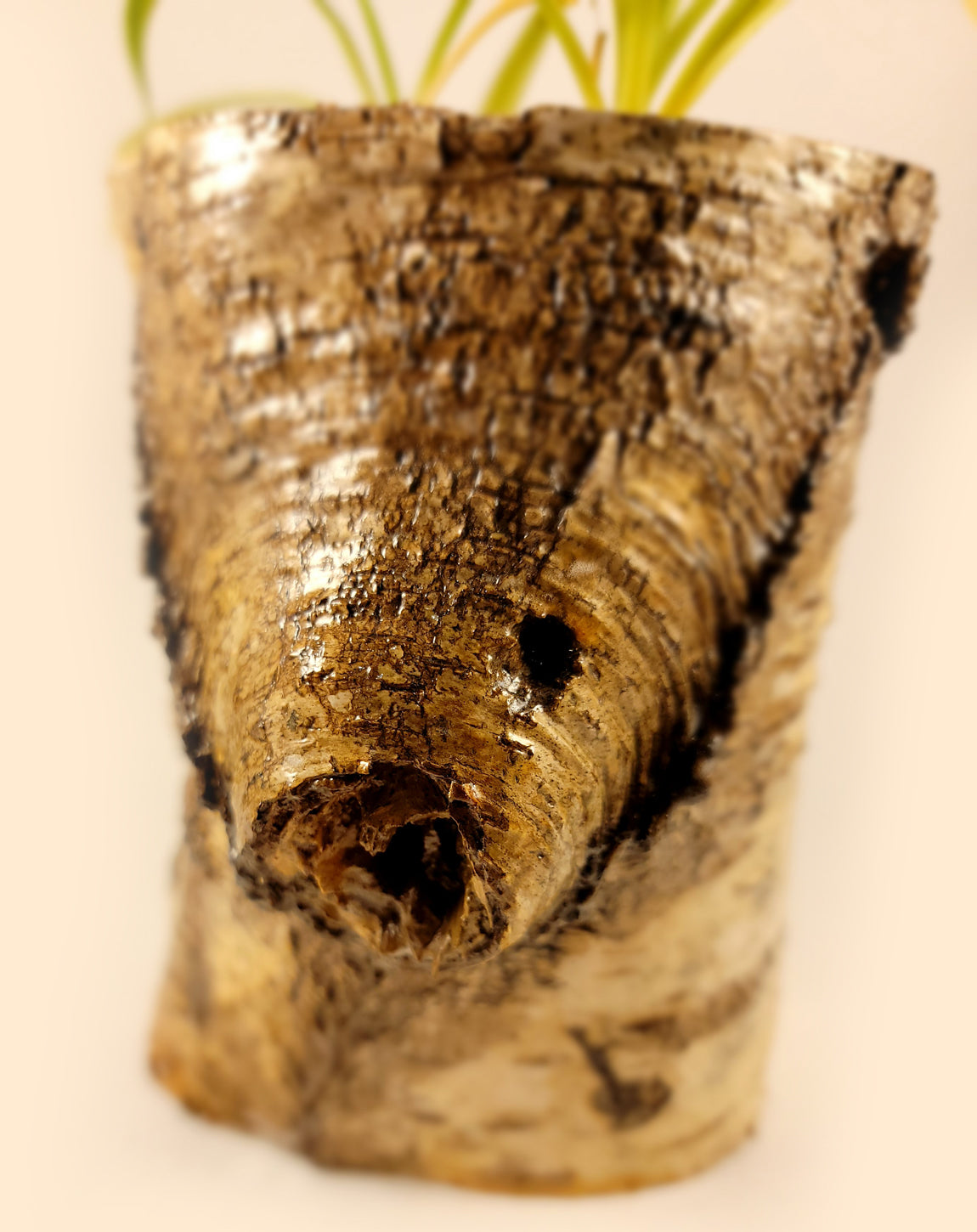 White Birch Living Planter - Glossy Finish