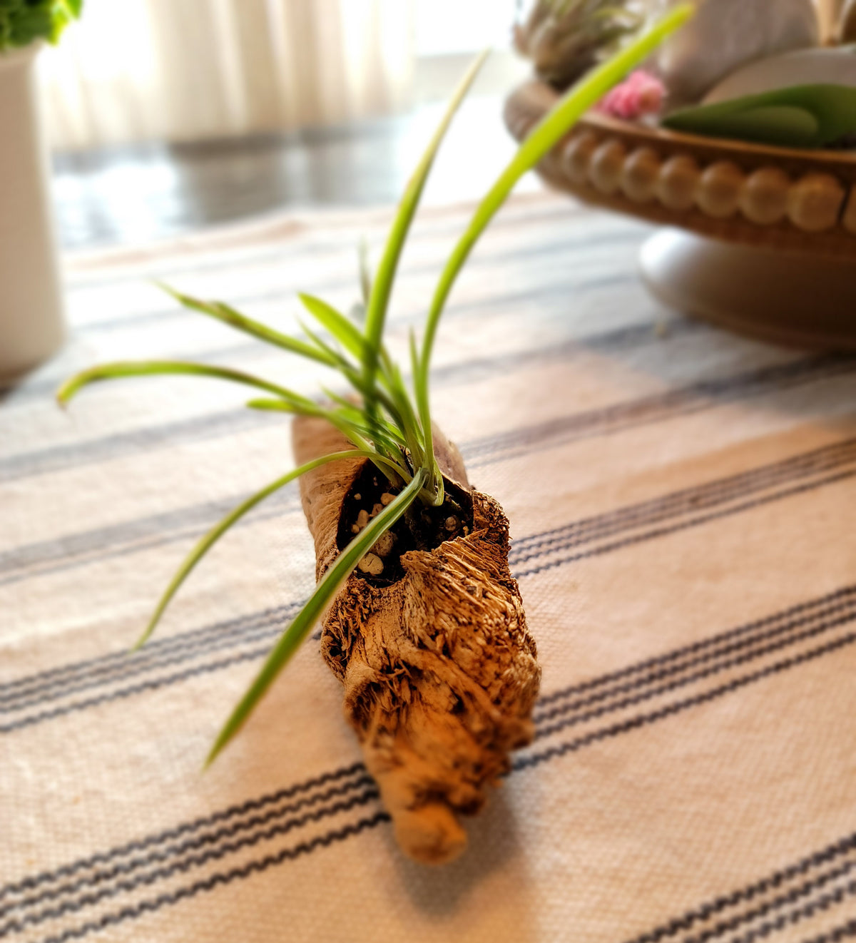 Miniature Handmade Driftwood Style Living Planter