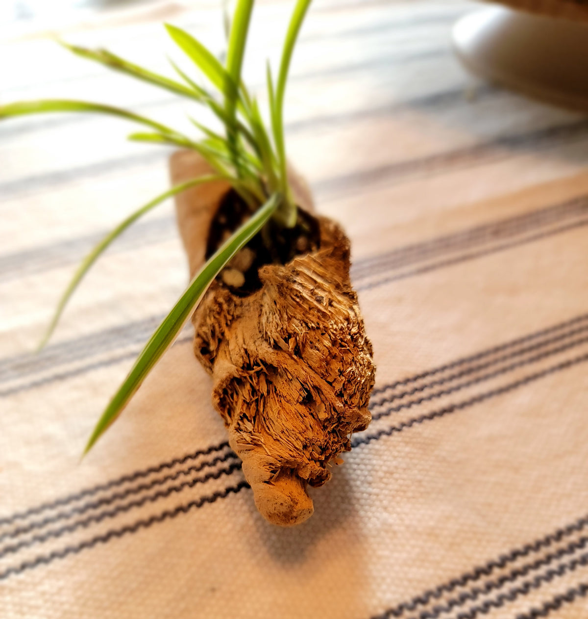 Miniature Handmade Driftwood Style Living Planter