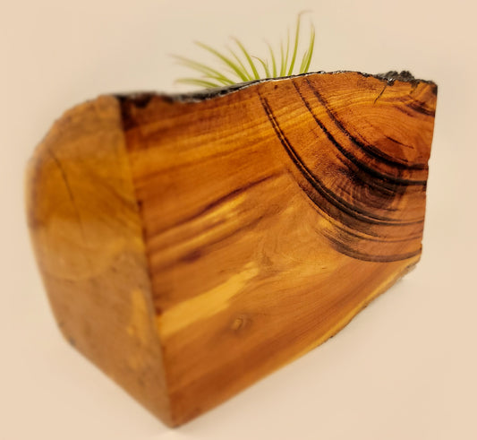 Handmade Dual Color Cedar Living Wood Planter