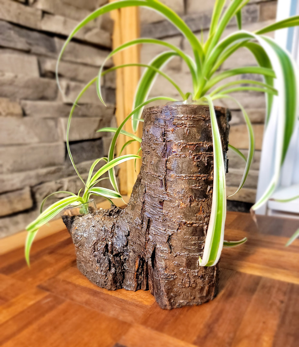 Handmade Tri-Plant Cedar Living Wood Planter