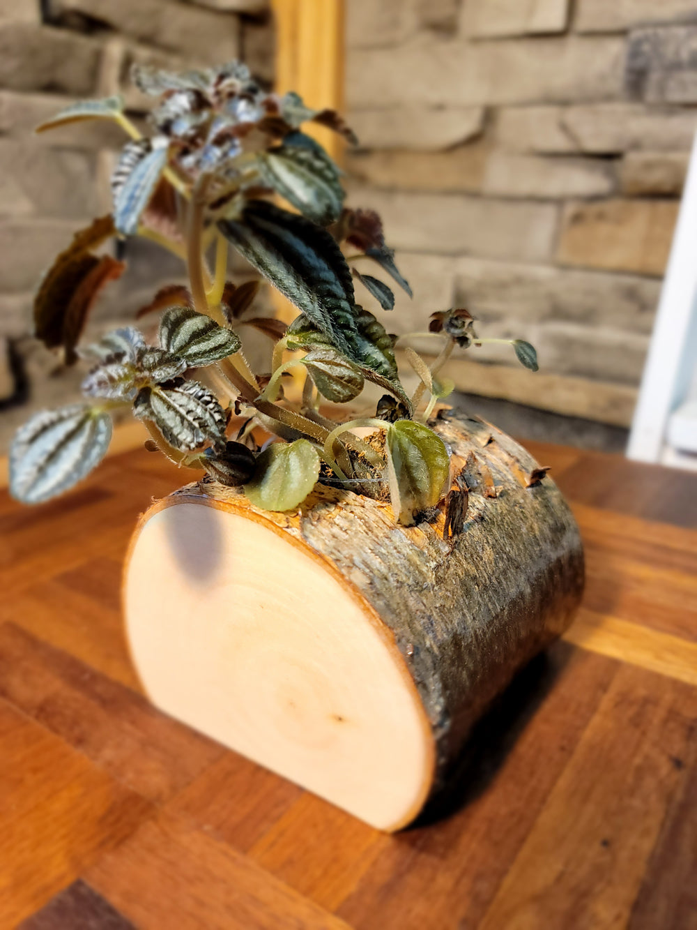 Artisan-Crafted Handmade Cedar Planter