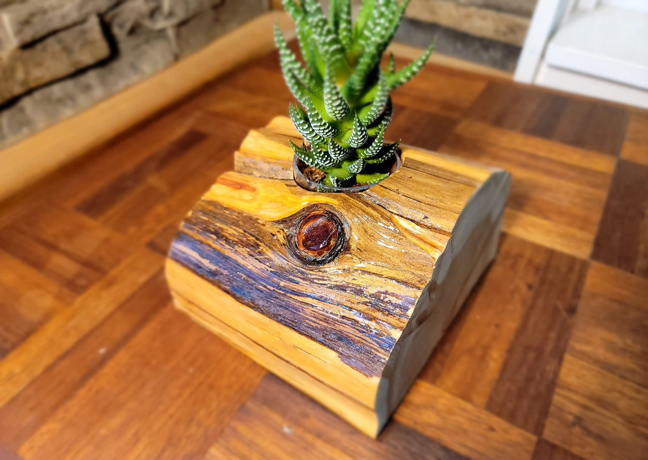 Handmade Glossy Cedar Knot Planter