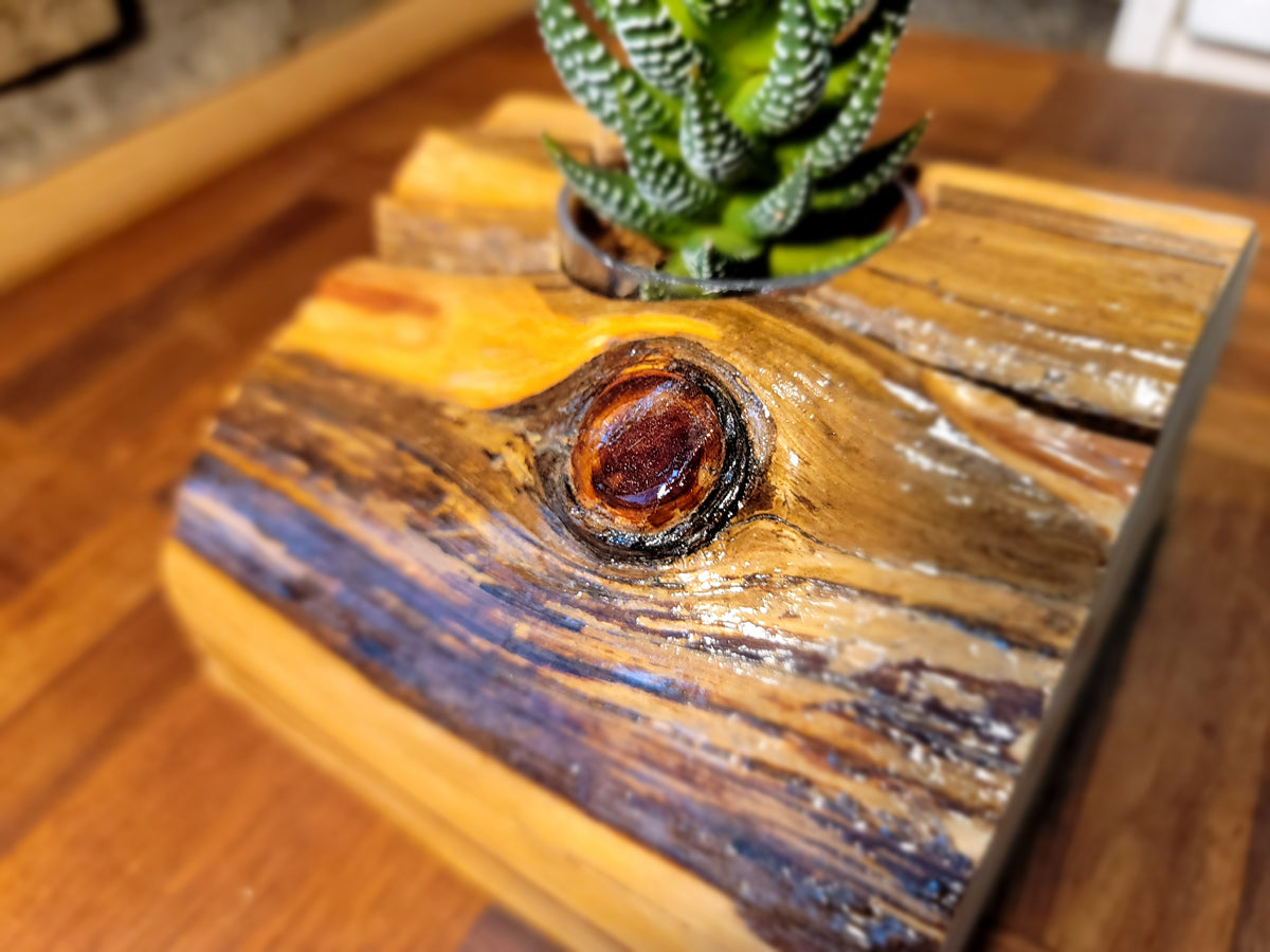 Handmade Glossy Cedar Knot Planter