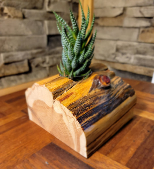 Handmade Glossy Cedar Knot Planter
