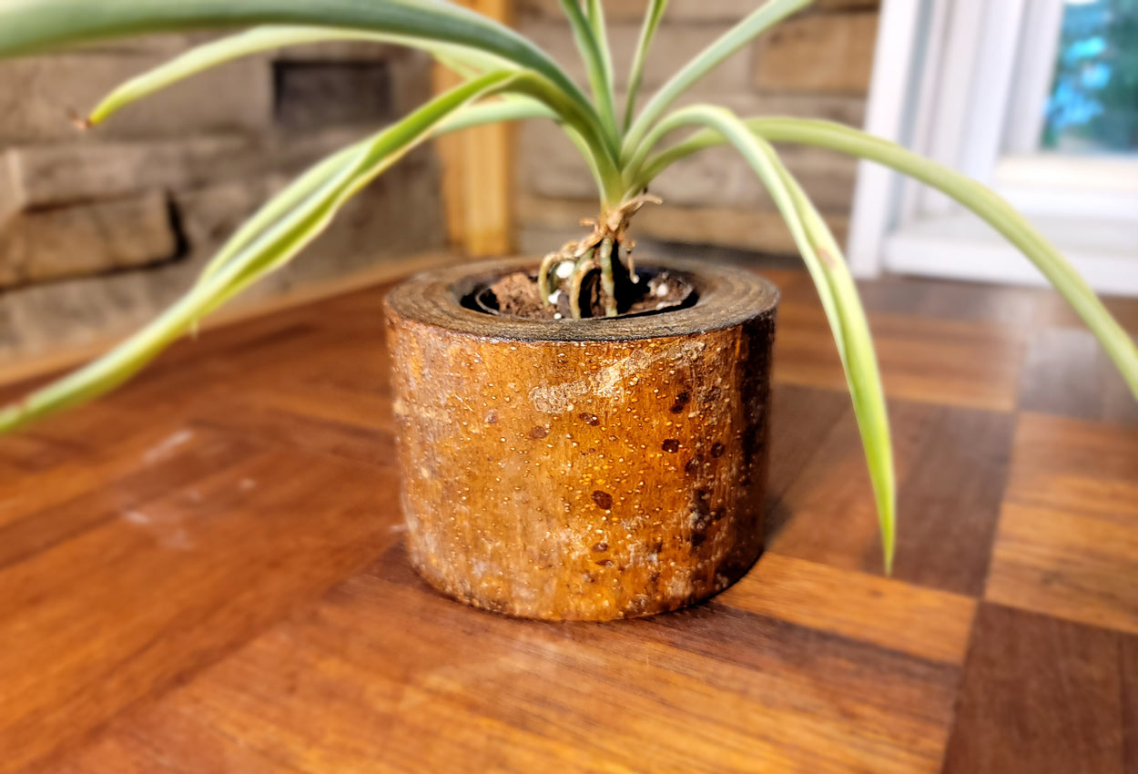 Artisan Chestnut Planter - Glossy Finish