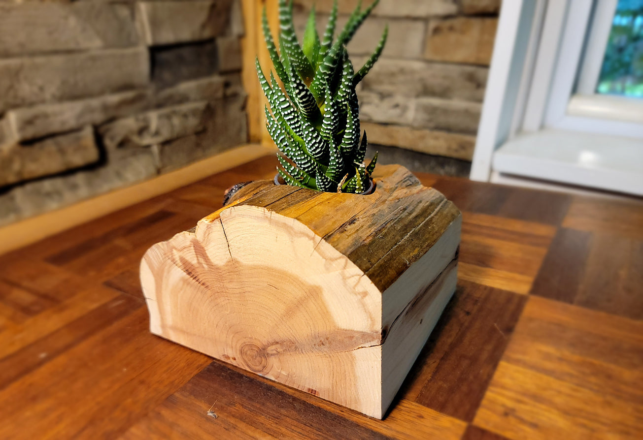 Handmade Glossy Cedar Knot Planter