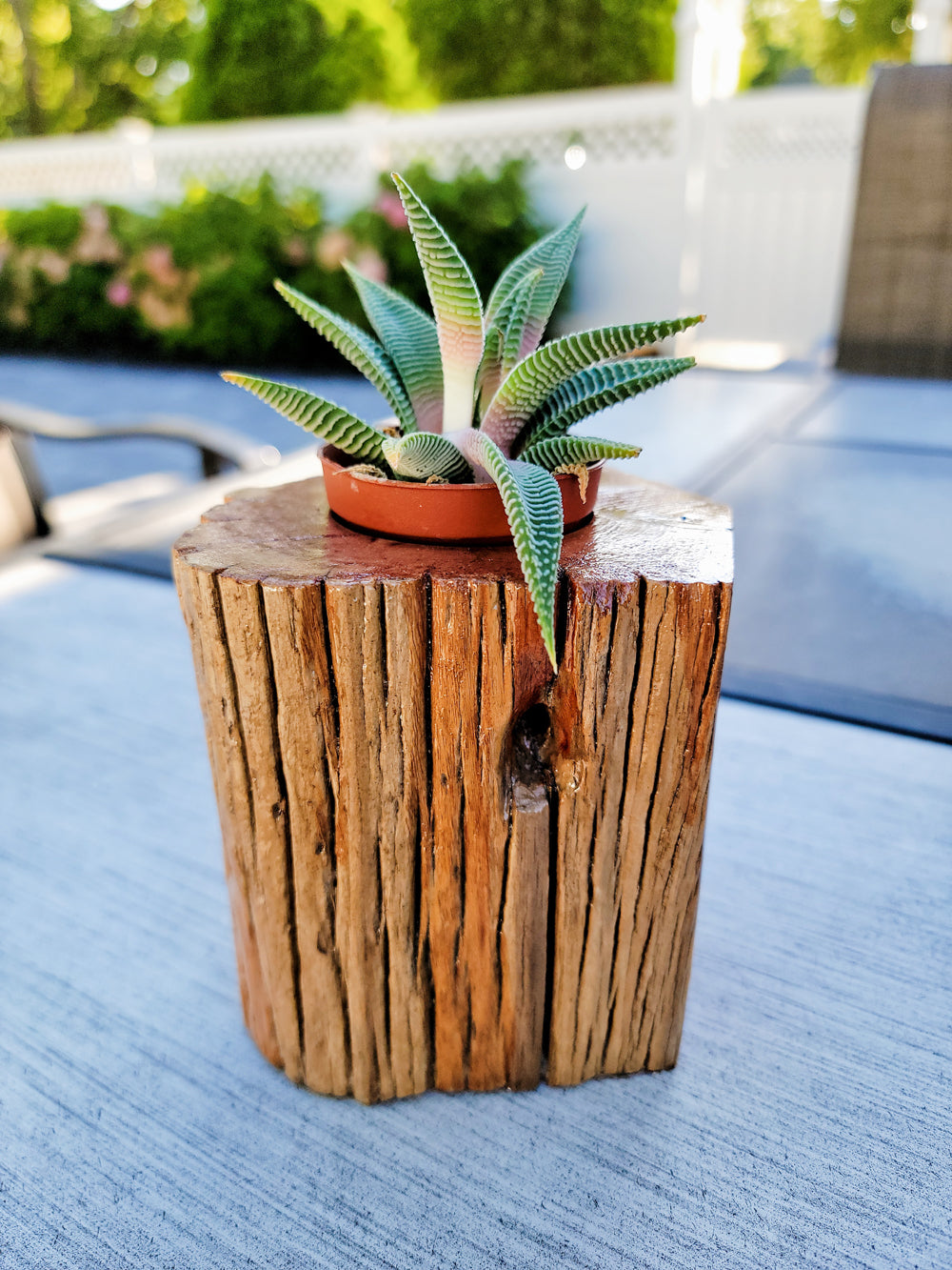 Handmade Planter Made From Stunning Cedar with Unique Knot Detail, Lifestyle Front