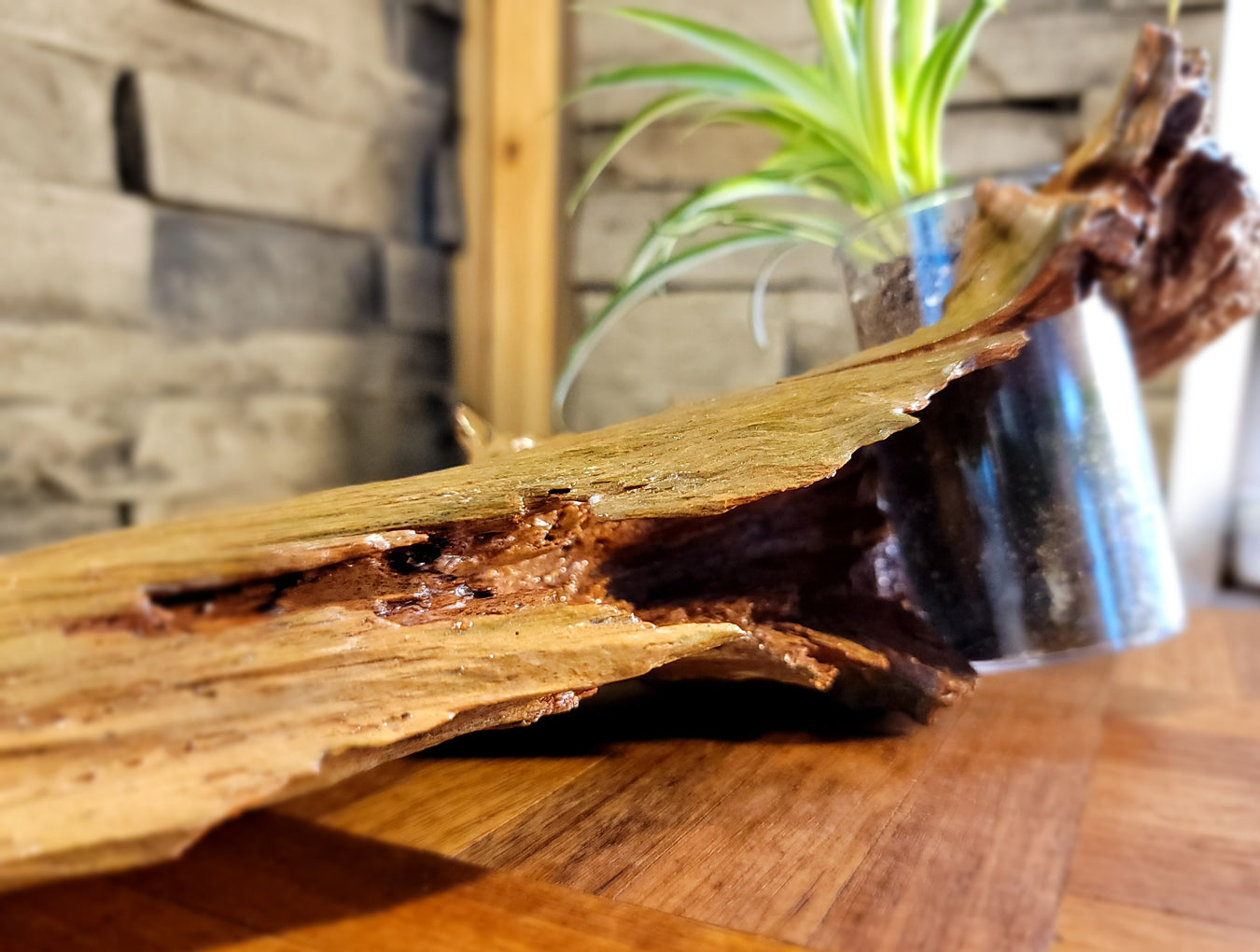 Handmade Driftwood Style Living Planter - Glossy Finish