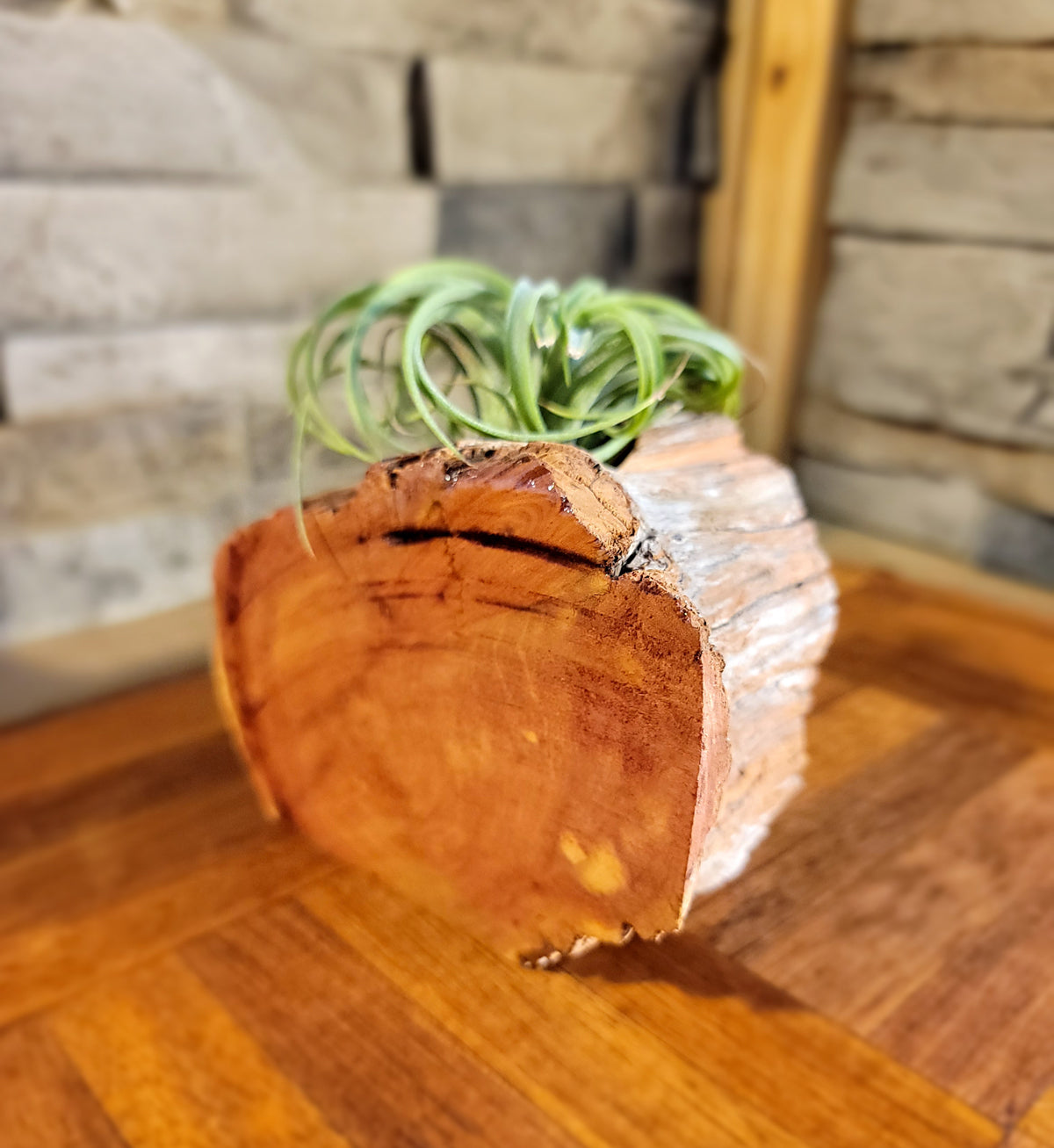 Organic Cedar Planter with Thriving Greenery, Side