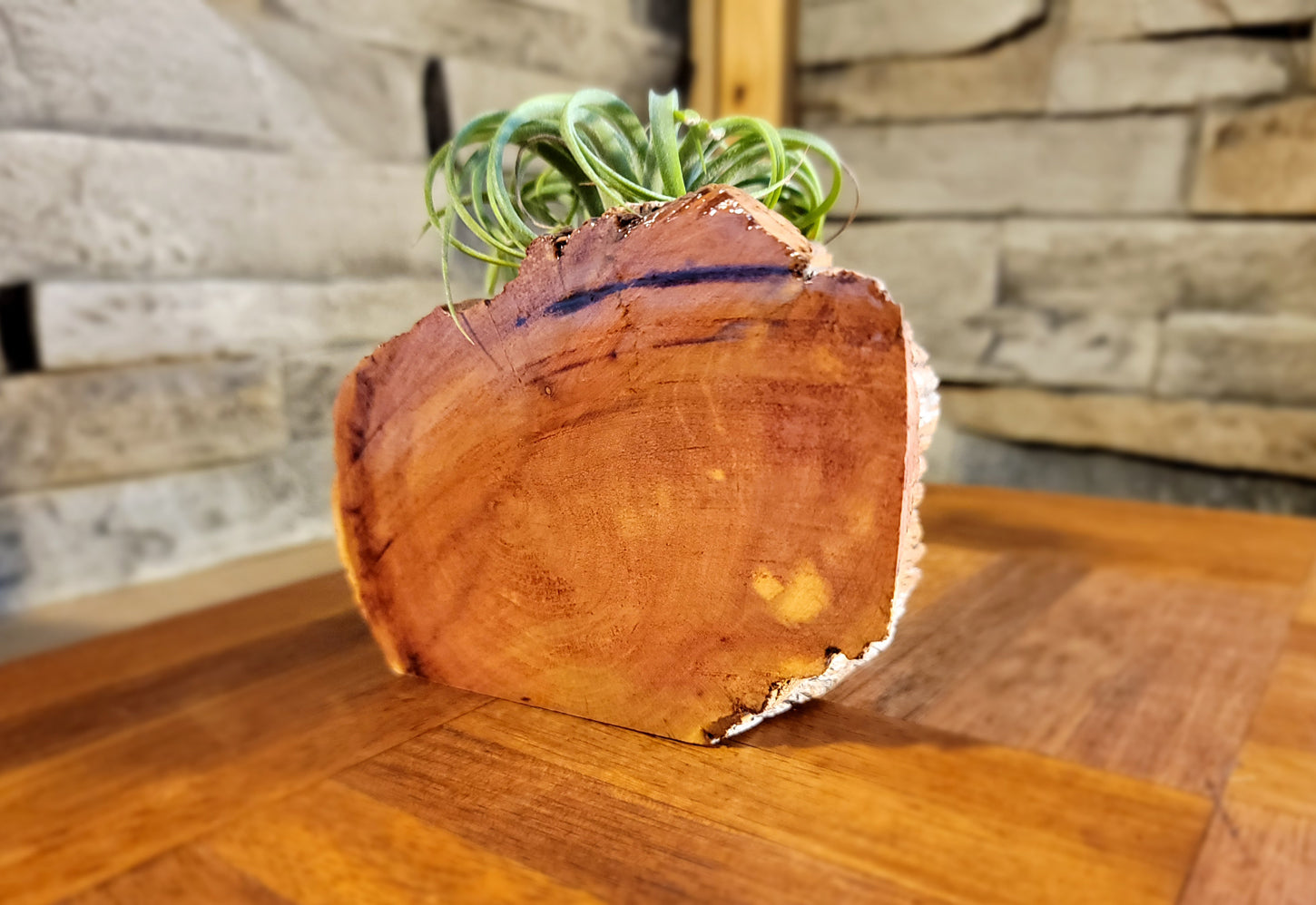 Organic Cedar Planter with Thriving Greenery, Glass Side