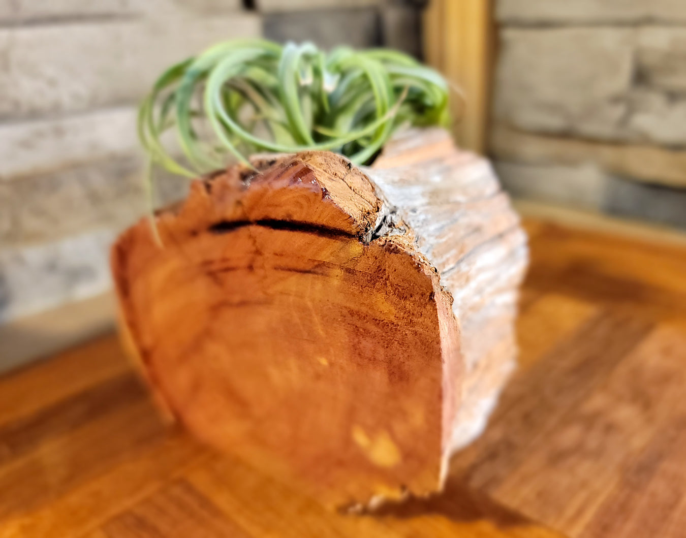 Organic Cedar Planter with Thriving Greenery, Focus