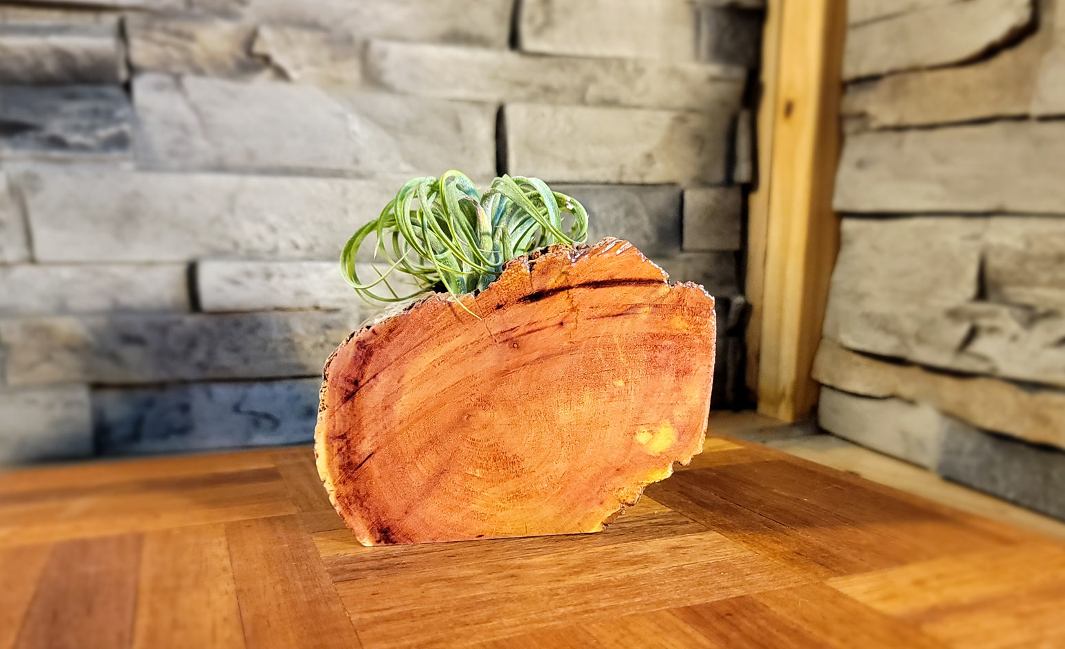 Organic Cedar Planter with Thriving Greenery, Side Outzoom