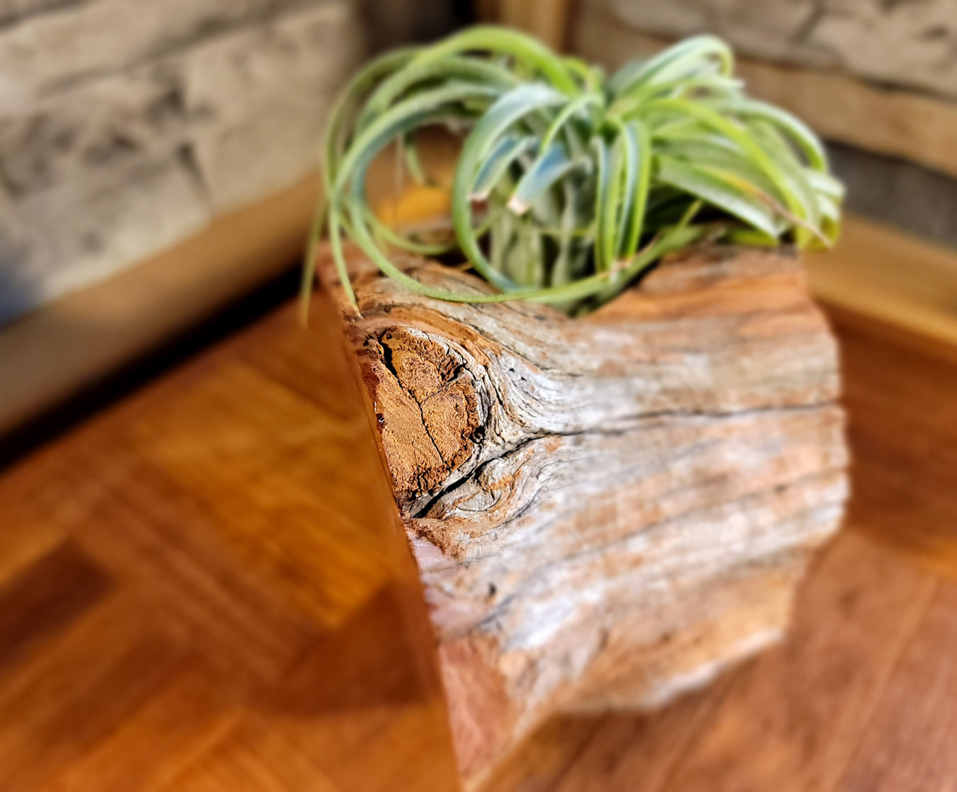 Organic Cedar Planter with Thriving Greenery, 2nd Corner Focus
