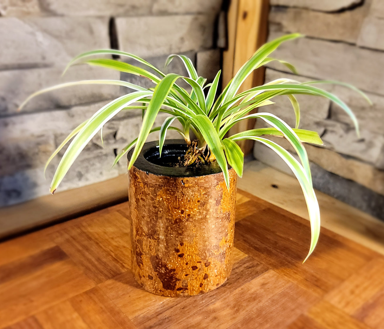 Modern Handmade Chestnut Planter with Polished Look, Front Plant