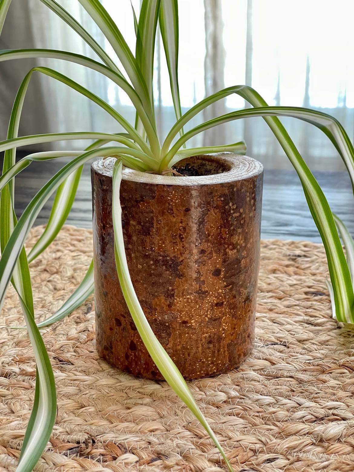 Handmade Chestnut Planter with glossy finish, showcasing the natural beauty of sustainably sourced chestnut wood, ideal for indoor plant display, zoom