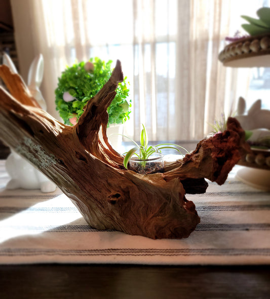Handmade Tall Driftwood Style Living Planter