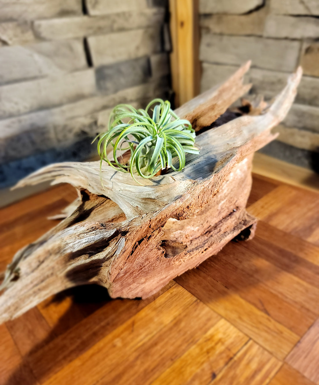Handmade Long Driftwood Style Living Planter