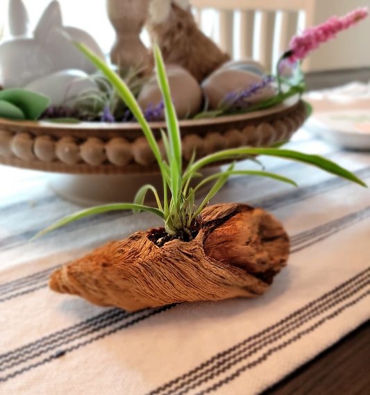 Miniature Handmade Driftwood Style Living Planter