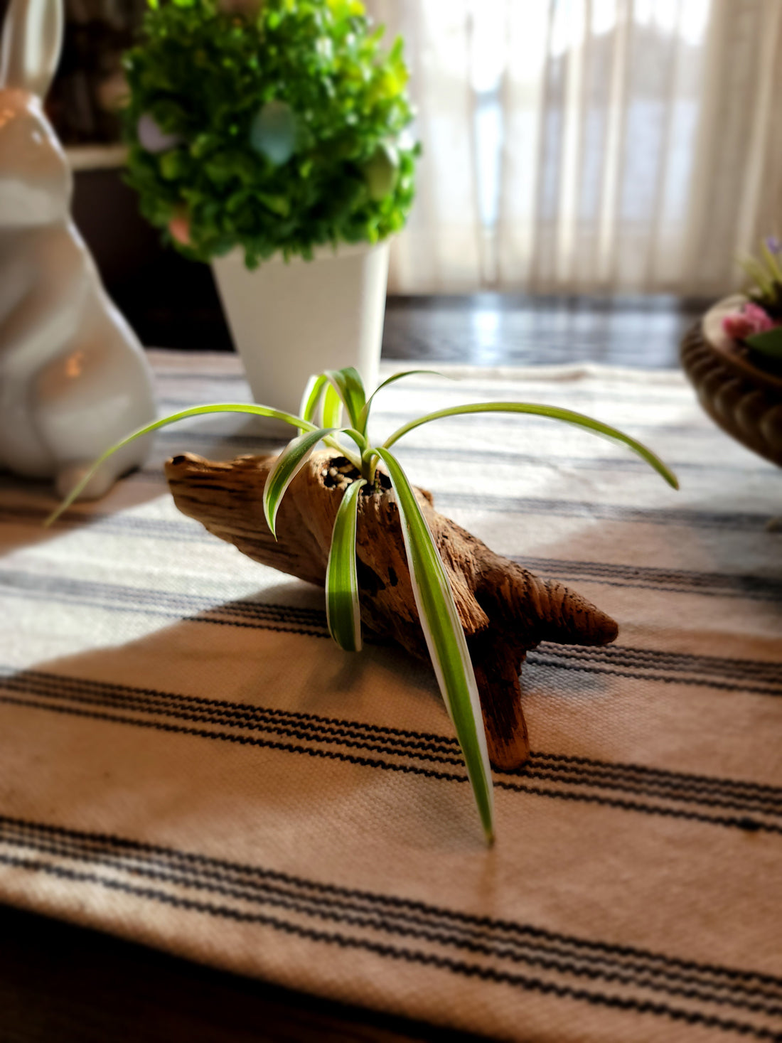 Handmade Miniature Driftwood Style Living Planter