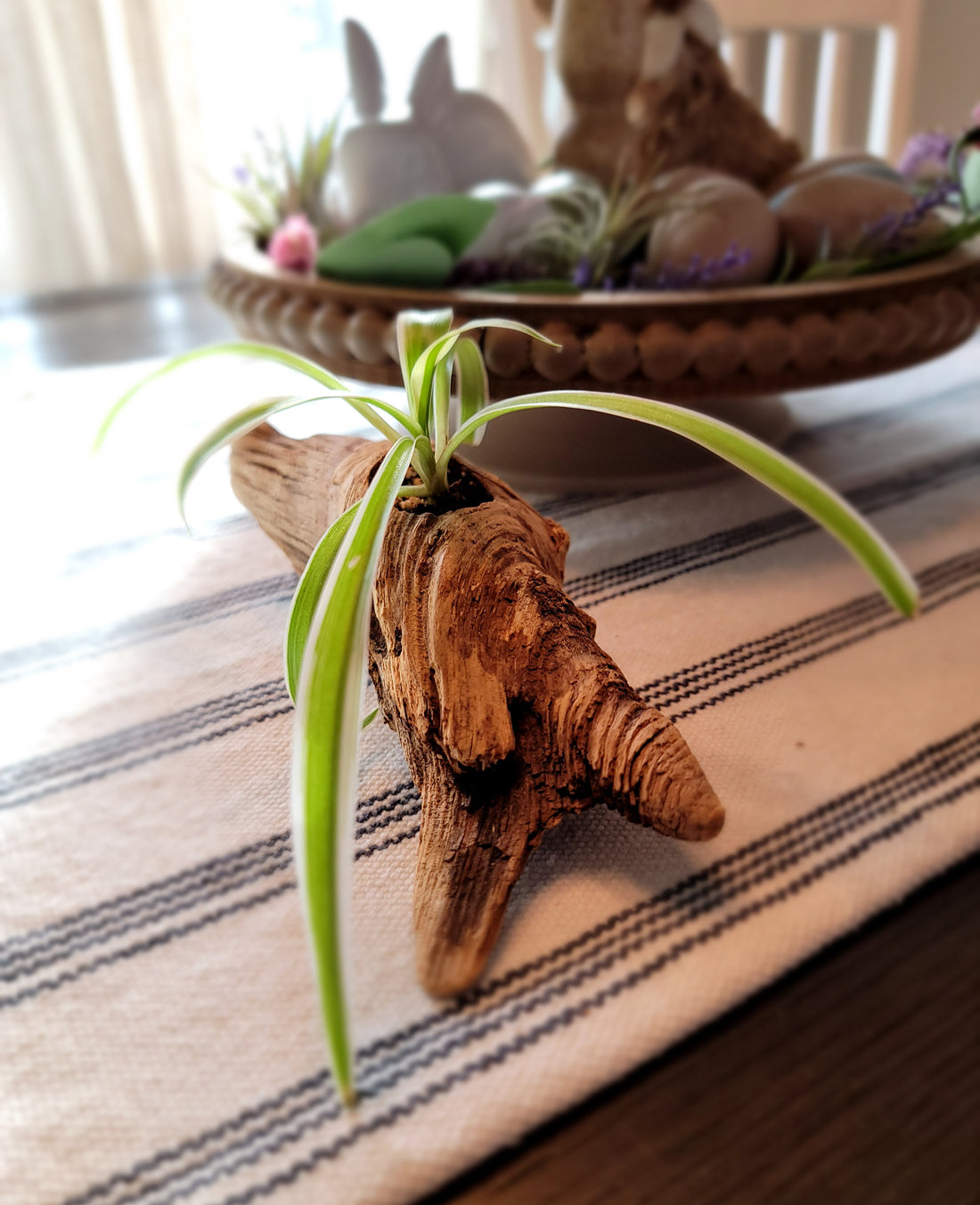 Handmade Miniature Driftwood Style Living Planter