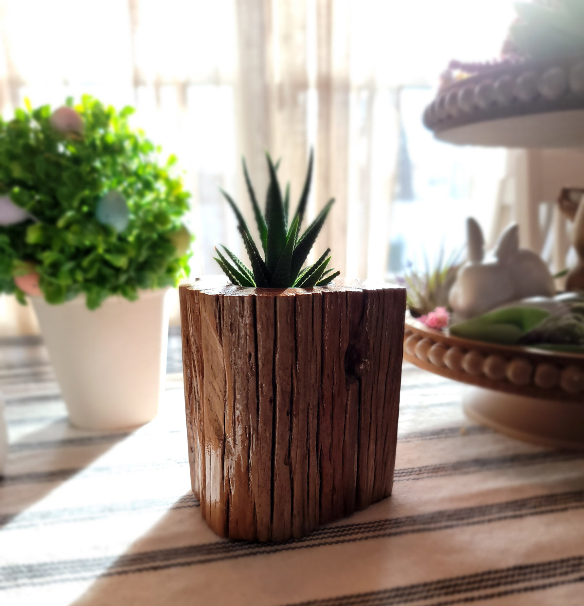 Handmade Planter Made From Stunning Cedar with Unique Knot Detail, Lifestyle Table